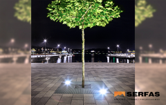 Grotelės ir laiptų pakopos Grotelių techniniai duomenys 